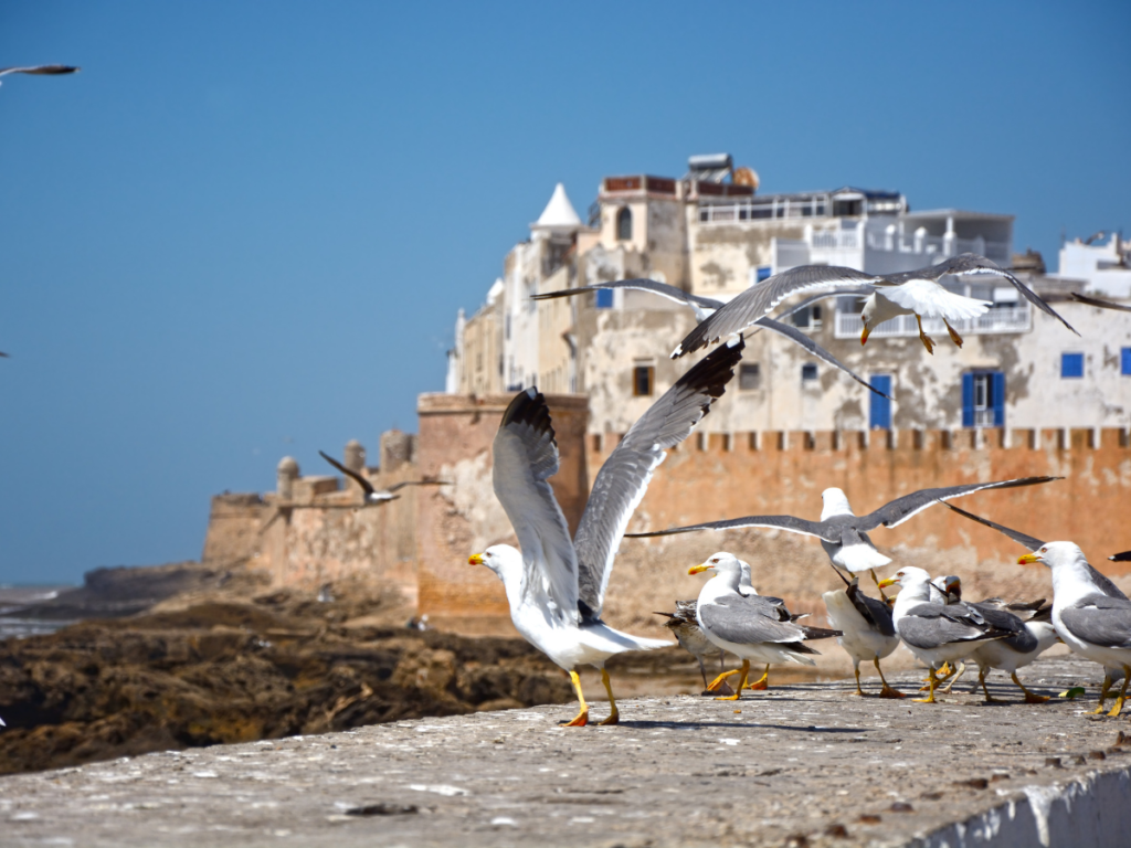 ITINERARIO PRIVADO DE 5 DIAS POR MARRUECOS DESDE CASABLANCA