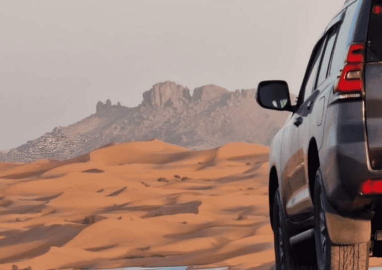 Monos de Berbería jugando cerca de las cascadas de Ouzoud en Marruecos
