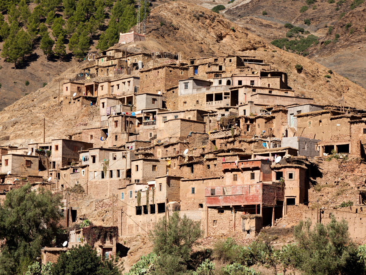 Vista aérea del palmeral del Valle del Draa con kasbahs de adobe en el sur